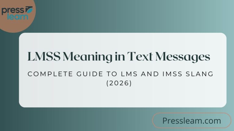 LMSS Meaning in Text