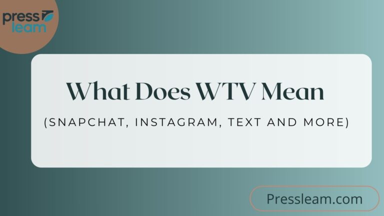 What Does WTV Mean