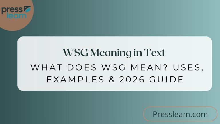 WSG Meaning in Text